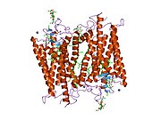2g87​: Crystallographic model of bathorhodopsin