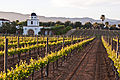 Valle de Guadalupe Clima mediterráneo de verano caliente (Csa)