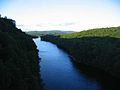 A view north from the top of the bridge during summer (August 2007)