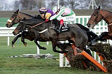 Photo d'une course de haies, où l'un des chevaux franchissant l'obstacle le détruit et le renverse avec ses postérieurs.