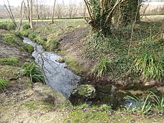 Méandres du ru de Rungis dans la colline Cacao.