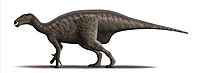 Mantellisaurus