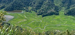 View of Rupa lake and Paddy fields.