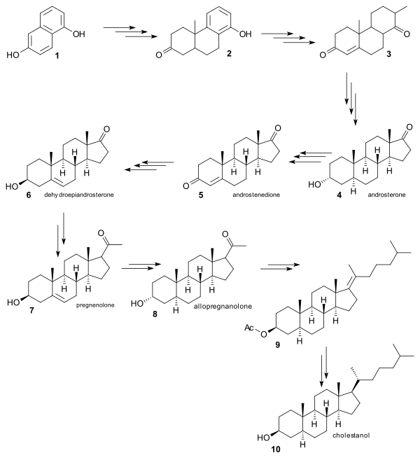 Cholesterol Robinson synthesis