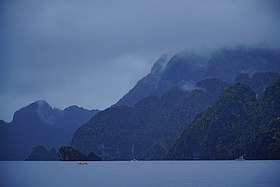 L'île de Coron, réserve forestière. Mai 2018.
