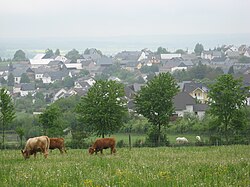 Skyline of Holzbach