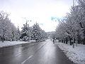 Neige à Ifrane