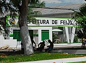 Feijó