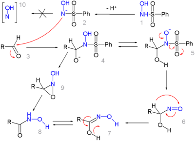 Mechanismus der Angeli-Rimini-Reaktion