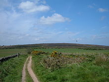 Tyre tracks run through flat grassland toward a large mound on the distant horizon.