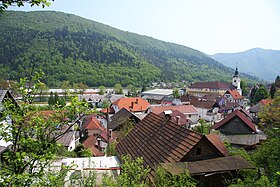 Borovnica