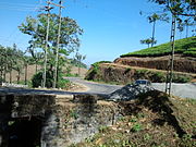 Kattappana Kuttikkanam road