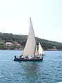 Latin regatta2