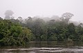 Image 50The Coppename river, one of many rivers in the interior (from Suriname)