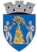 Wappen von Baia Sprie