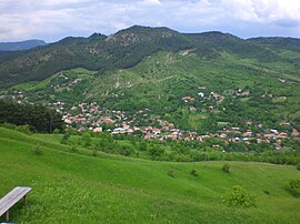 View of Brăești village