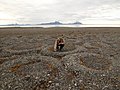 Anéis de pedra em Spitsbergen.