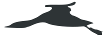 diagram of silhouette of Ruĝgorĝa kolimbo in flight