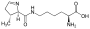 Pyrolysin (Pyl,O)