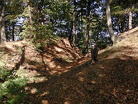 Wallgrabenreste der Burg