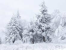 Snow in Bulgaria