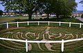 The turf maze at Wing in Rutland