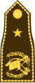 General de brigada (Guatemalan Army)[27]