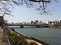 区立隅田公園より見た言問橋（2010年3月20日撮影）