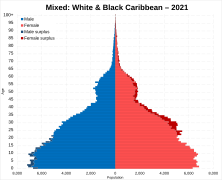 Mixed White and Black Caribbean