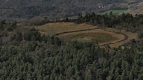 Vue de la zone humide sommitale