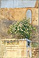 Blossoming Tree near Villa d'Este, watercolour, 1922, (National Museum in Warsaw), phot. Zbigniew Doliński