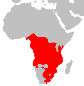 Поширення мов банту в Африці.