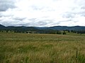 Fields near Hillsboro