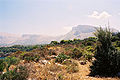 Macchia mediterranea a Capo Rama