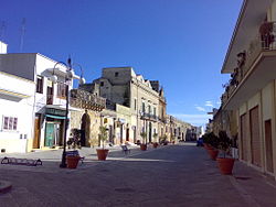 Skyline of Montesano Salentino