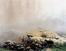 Pecora nella nebbia