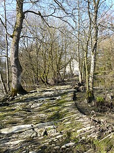 Voie romaine à Pont-Veix.