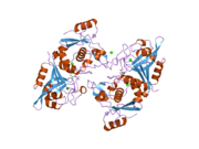 2p0r: Structure of Human Calpain 9 in complex with Leupeptin