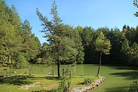 Insel im Windorfer Teich