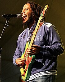 Ziggy Marley (2007)