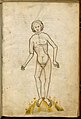 … Cgm 32, … Kalender und Praktika, 14. Jahrhundert[59][60]