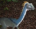 Coelophysis