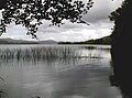 Un altro scorcio del Lough Gill