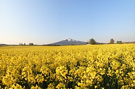 鰺ヶ沢町建石から見た岩木山（北北東）