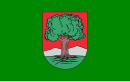 Drapeau de Wałbrzych