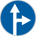 Proceed straight or turn right (1991–2021)