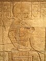 Khnum[11]