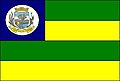 Bandeira de Guarani de Goiás