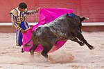 Corrida aux arènes d'Arles.