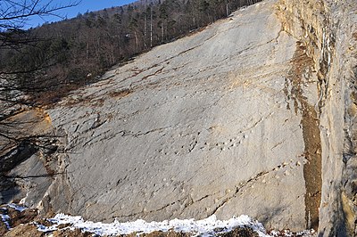 в Обердорфе, Швейцария